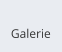 Galerie